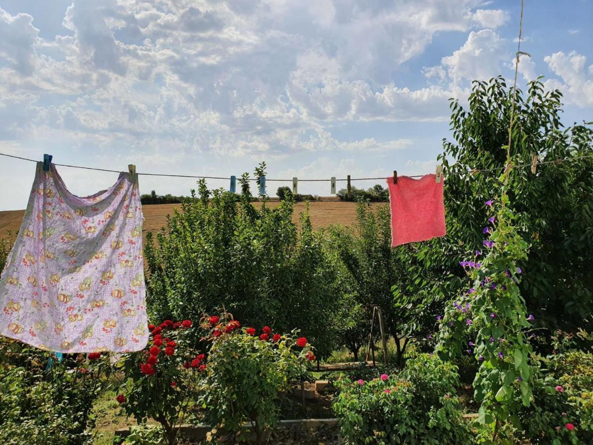 La Casa De Habel Βίλα Quba Εξωτερικό φωτογραφία