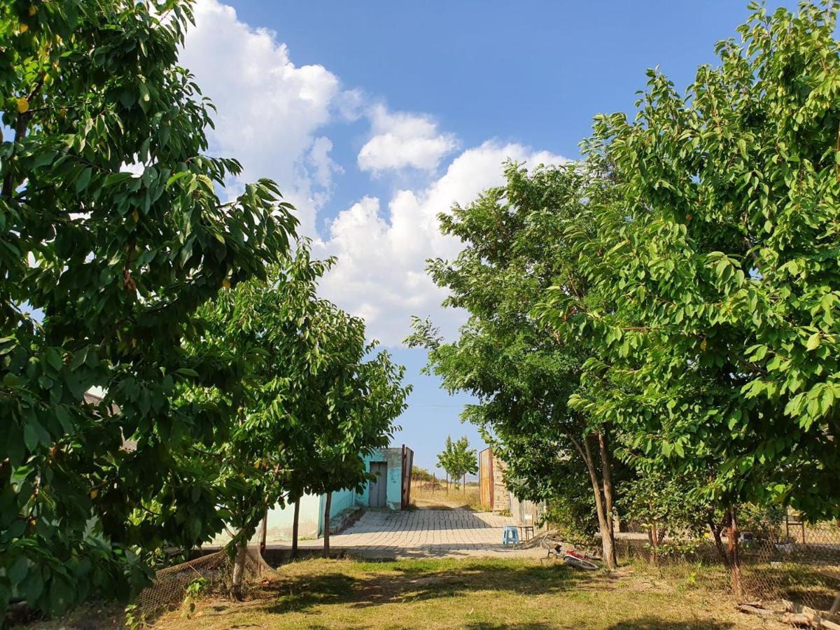 La Casa De Habel Βίλα Quba Εξωτερικό φωτογραφία