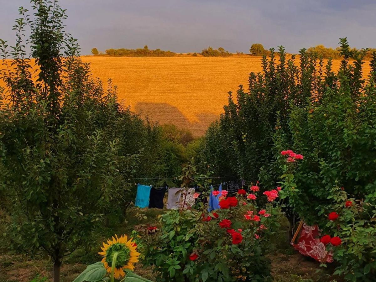 La Casa De Habel Βίλα Quba Εξωτερικό φωτογραφία