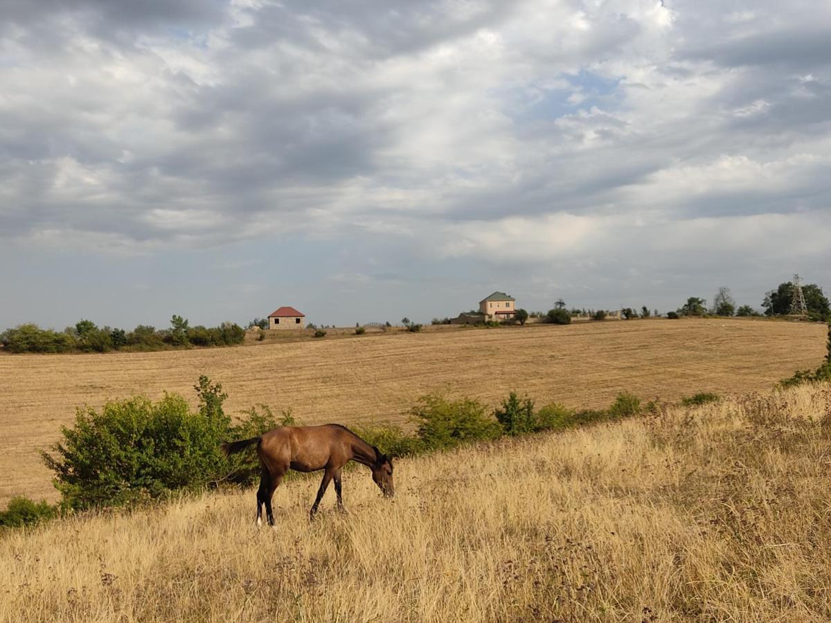 La Casa De Habel Βίλα Quba Εξωτερικό φωτογραφία