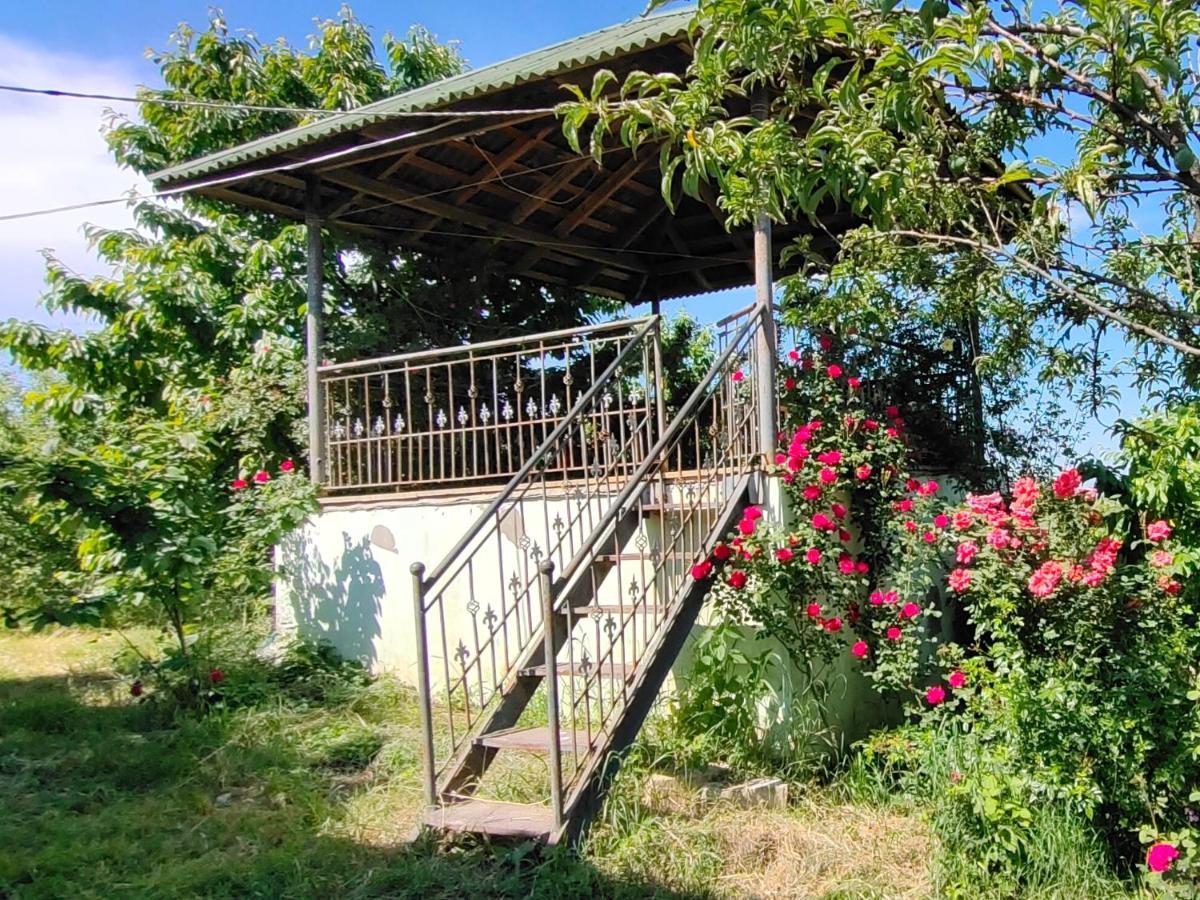 La Casa De Habel Βίλα Quba Εξωτερικό φωτογραφία